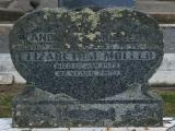 image of grave number 865711